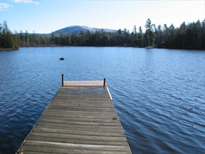 enlarged view of image enlarged view of image