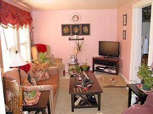 enlarged view of image enlarged view of image