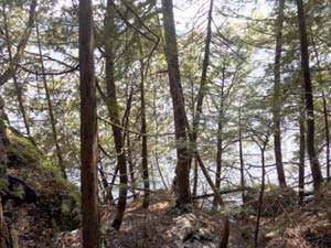 enlarged view of image enlarged view of image