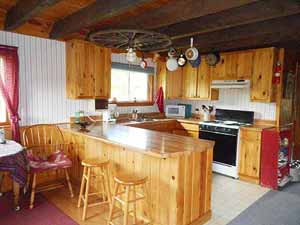 enlarged view of image enlarged view of image